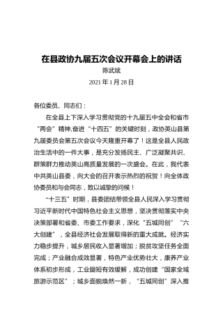 陈武斌：在县政协九届五次会议开幕会上的讲话