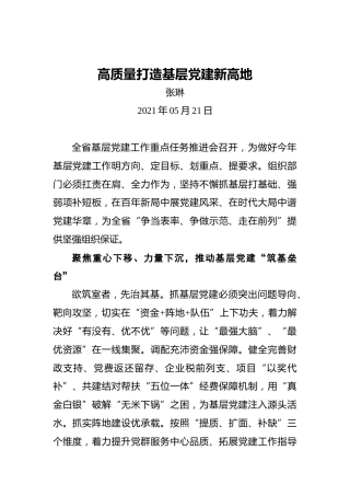 张琳：高质量打造基层党建新高地