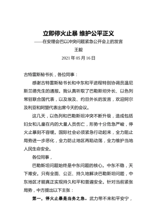 王毅：立即停火止暴维护公平正义——在安理会巴以冲突问题紧急公开会上的发言