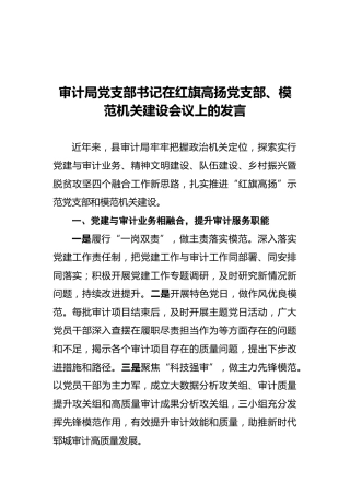 审计局党支部书记在红旗高扬党支部、模范机关建设会议上的发言