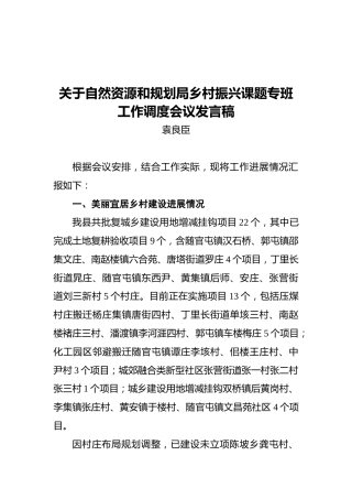 袁良臣：关于自然资源和规划局乡村振兴课题专班工作调度会议发言稿
