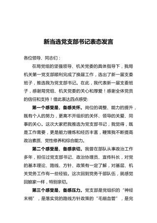 新当选党支部书记表态发言