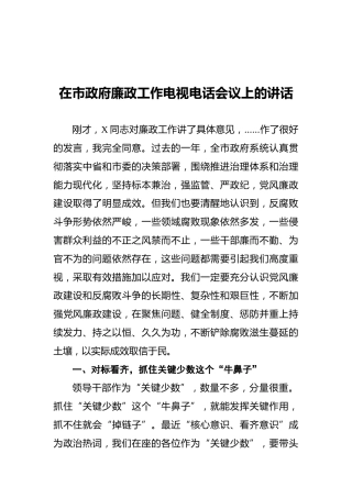在市政府廉政工作电视电话会议上的讲话