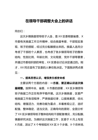 在领导干部调整大会上的讲话