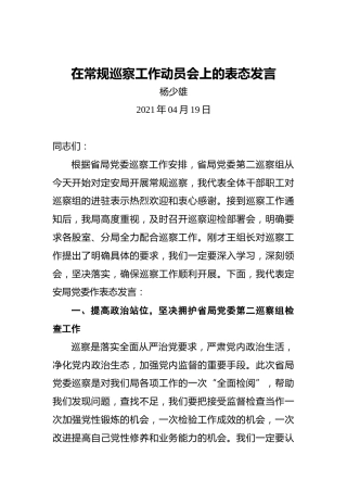 杨少雄：在常规巡察工作动员会上的表态发言