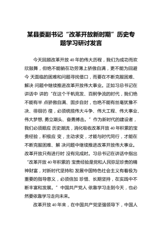 某县委副书记“改革开放新时期”历史专题学习研讨发言