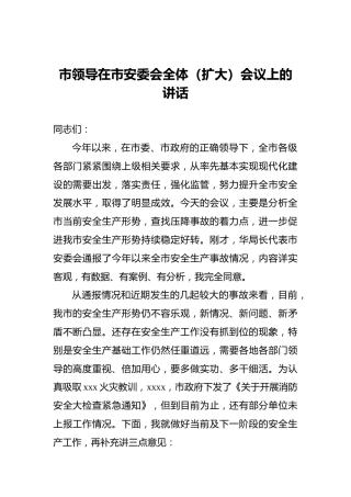 市领导在市安委会全体（扩大）会议上的讲话