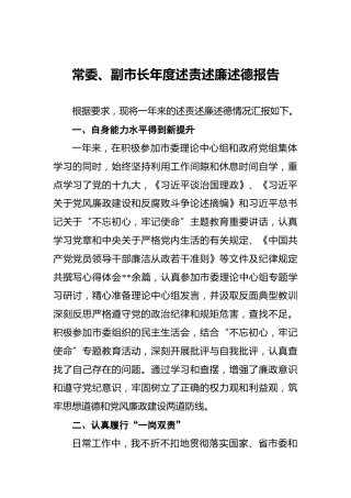 常委、副市长年度述责述廉述德报告