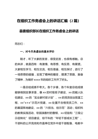 在组织工作务虚会上的讲话汇编（2篇）