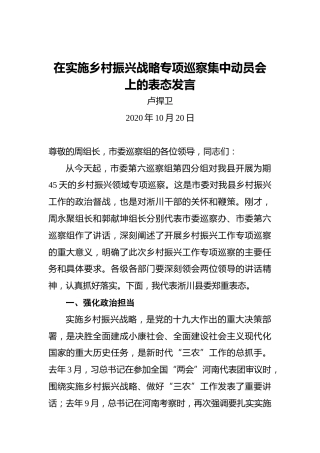 卢捍卫：在实施乡村振兴战略专项巡察集中动员会上的表态发言