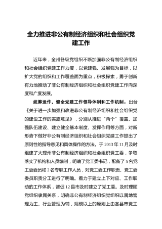全力推进非公有制经济组织和社会组织党建工作
