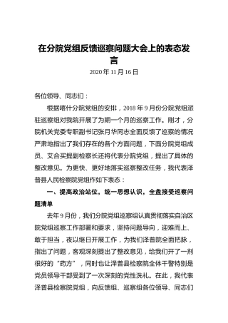 在分院党组反馈巡察问题大会上的表态发言