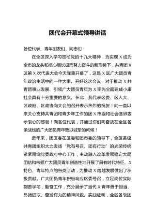‍团代会开幕式领导讲话