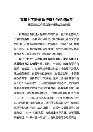完善上下贯通执行有力的组织体系——基层党建工作重点任务推进会发言摘登