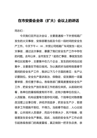 在市安委会全体（扩大）会议上的讲话