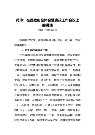 冯玲：在县政府全体会暨廉政工作会议上的讲话