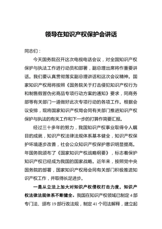‍领导在知识产权保护会讲话