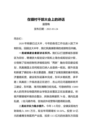 温雪梅：在镇村干部大会上的讲话