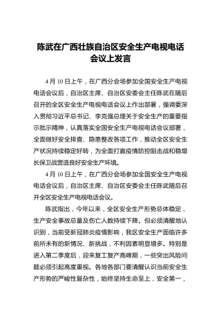 陈武在广西壮族自治区安全生产电视电话会议上发言