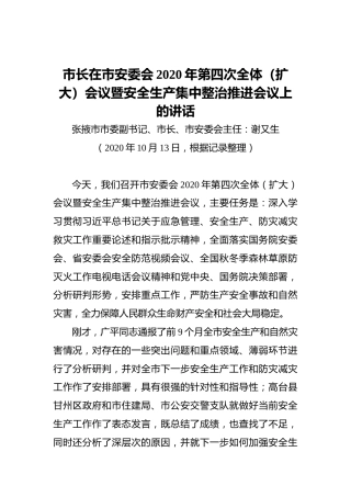 ‍市长在市安委会2020年第四次全体（扩大）会议暨安全生产集中整治推进会议上的讲话