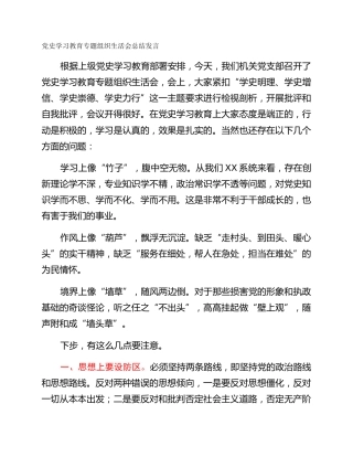 党史学习教育专题组织生活会总结发言