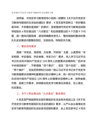 党支部班子党史学习教育专题组织生活会整改方案