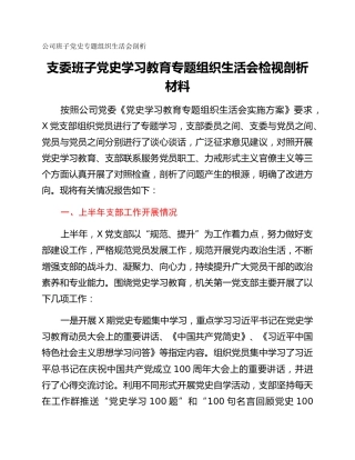 公司班子党史专题组织生活会剖析