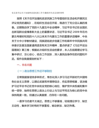 党支部书记关于加强和改进民族工作专题组织生活会剖析材料
