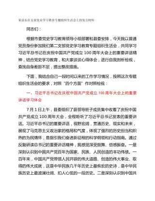 某县长在支部党史学习教育专题组织生活会上的发言材料