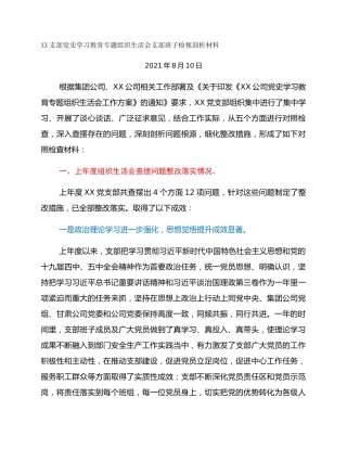 XX支部党史学习教育专题组织生活会支部班子检视剖析材料