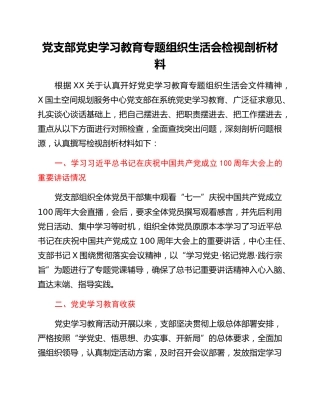 支部班子党史专题组织生活会检视剖析材料