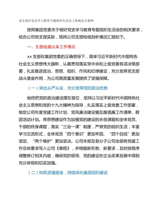 党支部在党史学习教育专题组织生活会上检视发言提纲