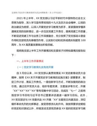 支部班子党史学习教育组织生活会对照检查（含上半年总结）
