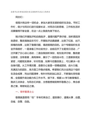 县委书记在参加县委办党支部组织生活会上的讲话