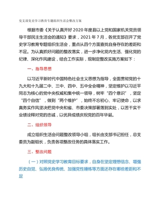 党支部党史学习教育专题组织生活会整改方案