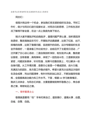 县委书记在参加所在党支部组织生活会上的讲话