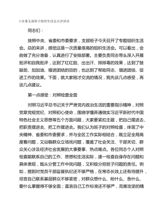 X区委支部班子组织生活会点评讲话