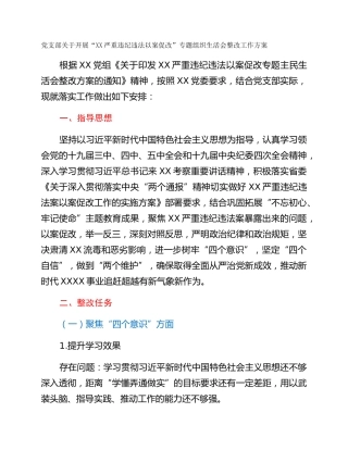 党支部关于开展“XX严重违纪违法以案促改”专题组织生活会整改工作方案