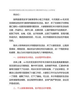 某县委督导组组长在机关党支部党史学习教育组织生活会上点评讲话
