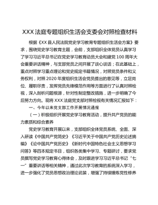 XXX法庭专题组织生活会支委会对照检查材料