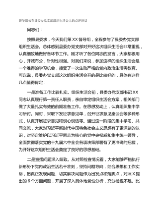督导组长在县委办党支部组织生活会上的点评讲话