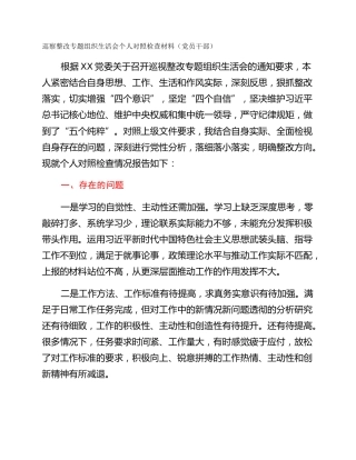 巡察整改专题组织生活会个人对照检查材料（党员干部）
