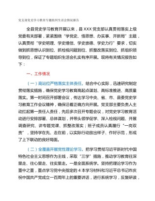 党支部党史学习教育专题组织生活会情况报告
