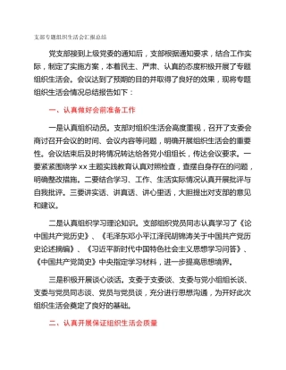 支部专题组织生活会汇报总结