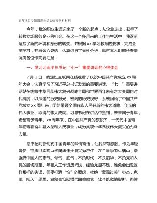 青年党员专题组织生活会检视剖析材料
