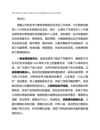 国企党委书记参加下属公司支部专题组织生活会点评材料