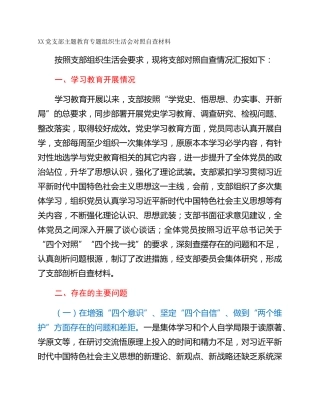 XX党支部主题教育专题组织生活会对照自查材料