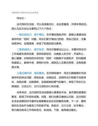 局领导班子组织生活会点评讲话