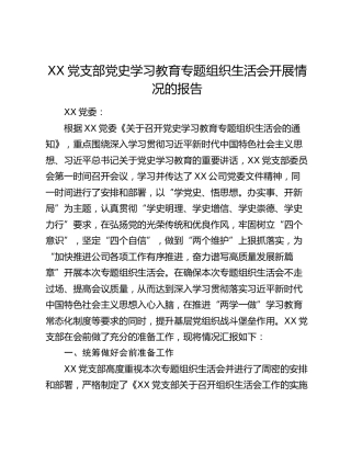 XX党支部党史学习教育专题 组织生活会开展情况的报告