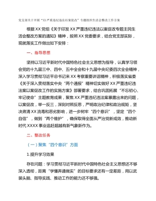 党支部关于开展“XX严重违纪违法以案促改”专题组织生活会整改工作方案 (2)